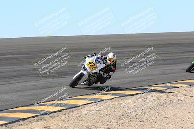 media/Jan-14-2024-SoCal Trackdays (Sun) [[2e55ec21a6]]/Bowl (11am)/